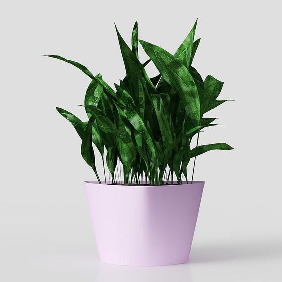 Cây xanh trong nhà hiện đại