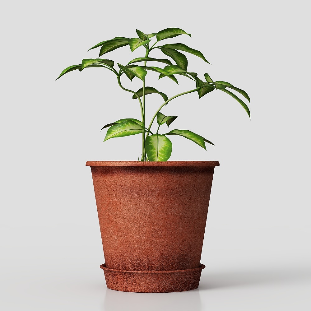 Moderne Balkon Topfpflanzen Grün