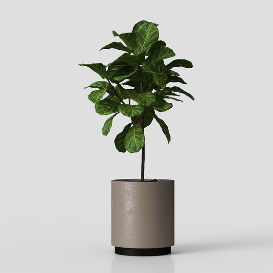 Verdure de cour moderne