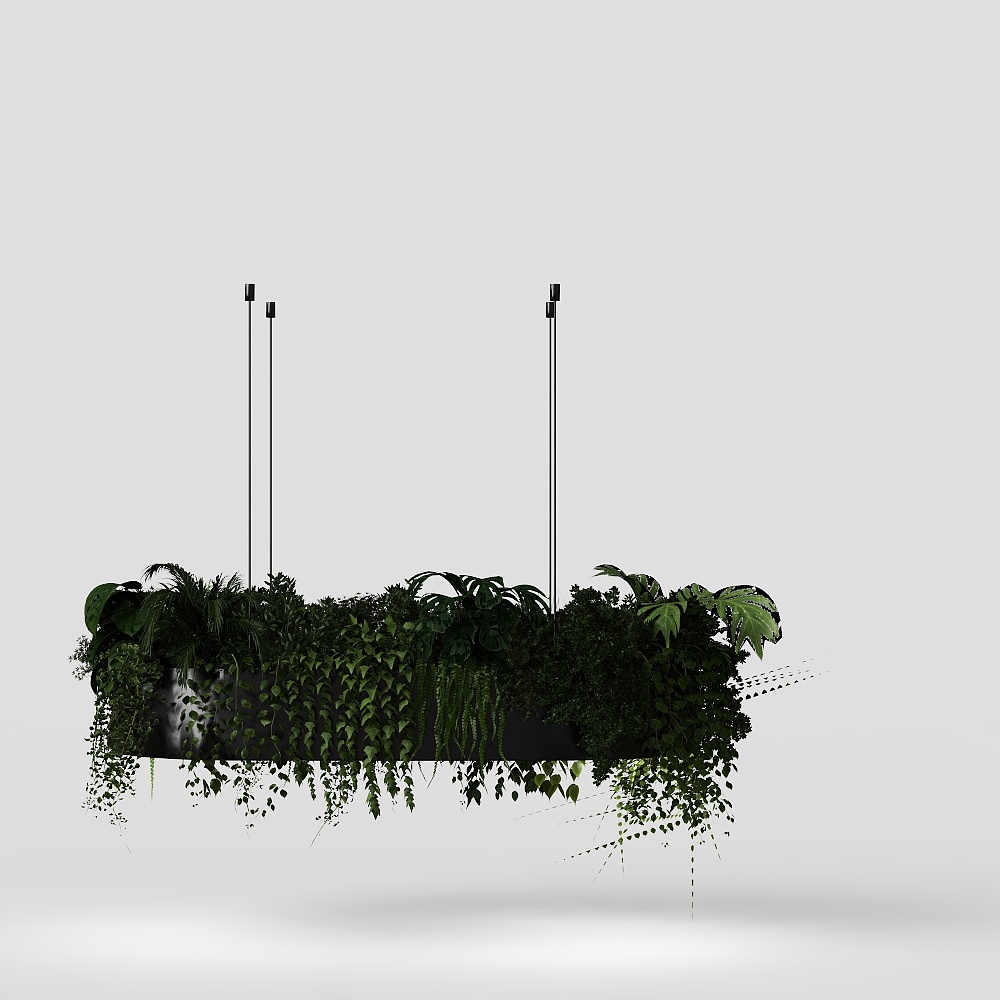 Panier suspendu d'exposition moderne