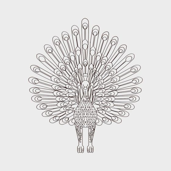 Stunning Peacock 3D Model for Creative Projects