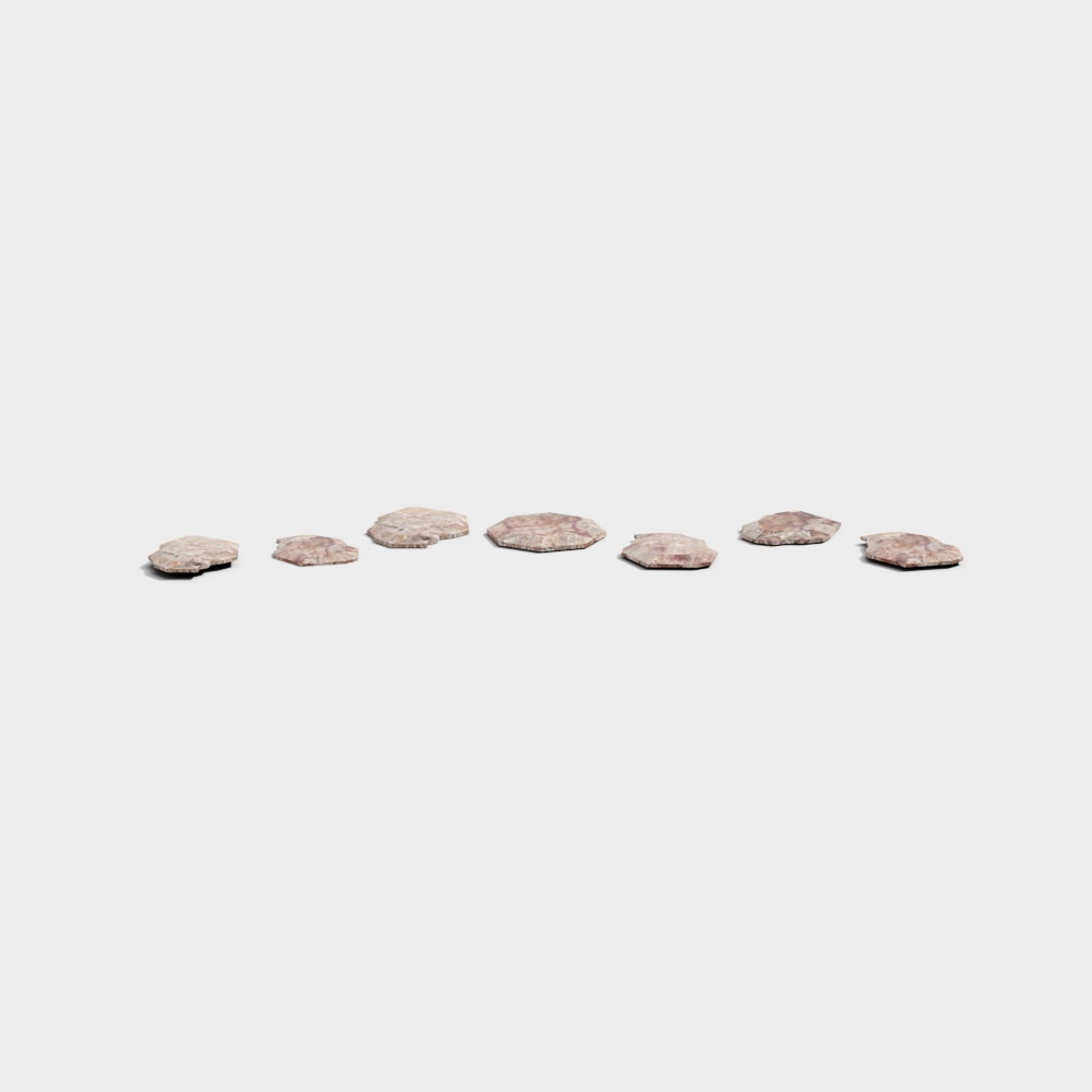 Sea Rhythm 3D model of Shells on a Serene Beach