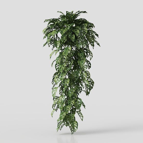 Charming Hanging Monstera 3D model for Creative Spaces
