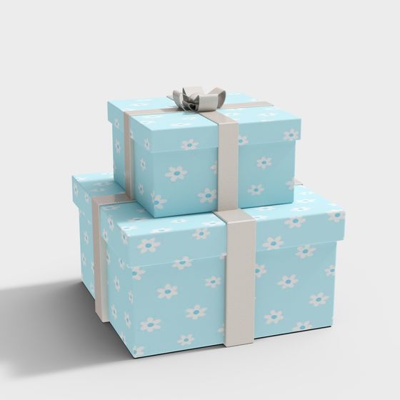 Floral Gift Boxes 3D model