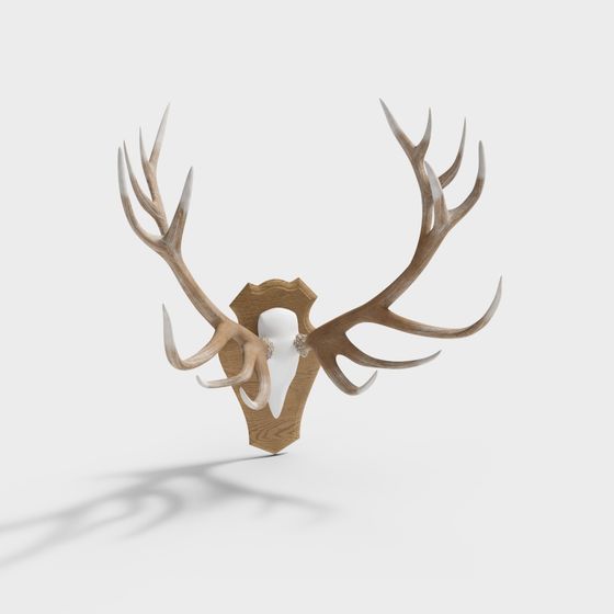 Woodsman's Pride 3D model