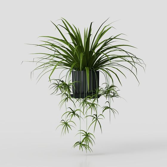 Realistic Hanging Plant 3D Model for Design Projects