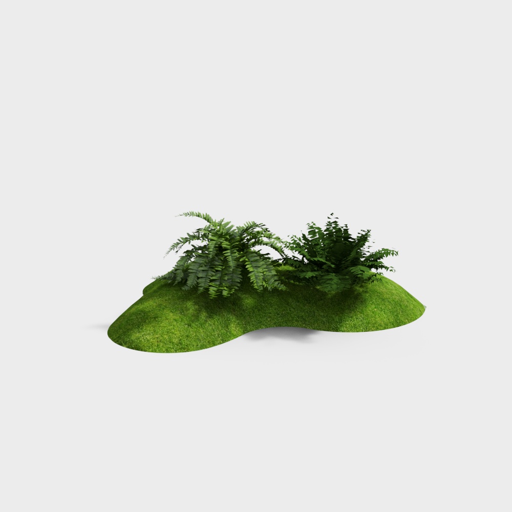 Lush Green Grass Ferns 3D model