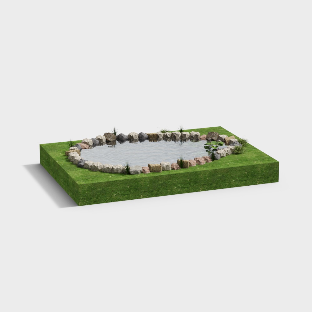 Natural Pond 3D model