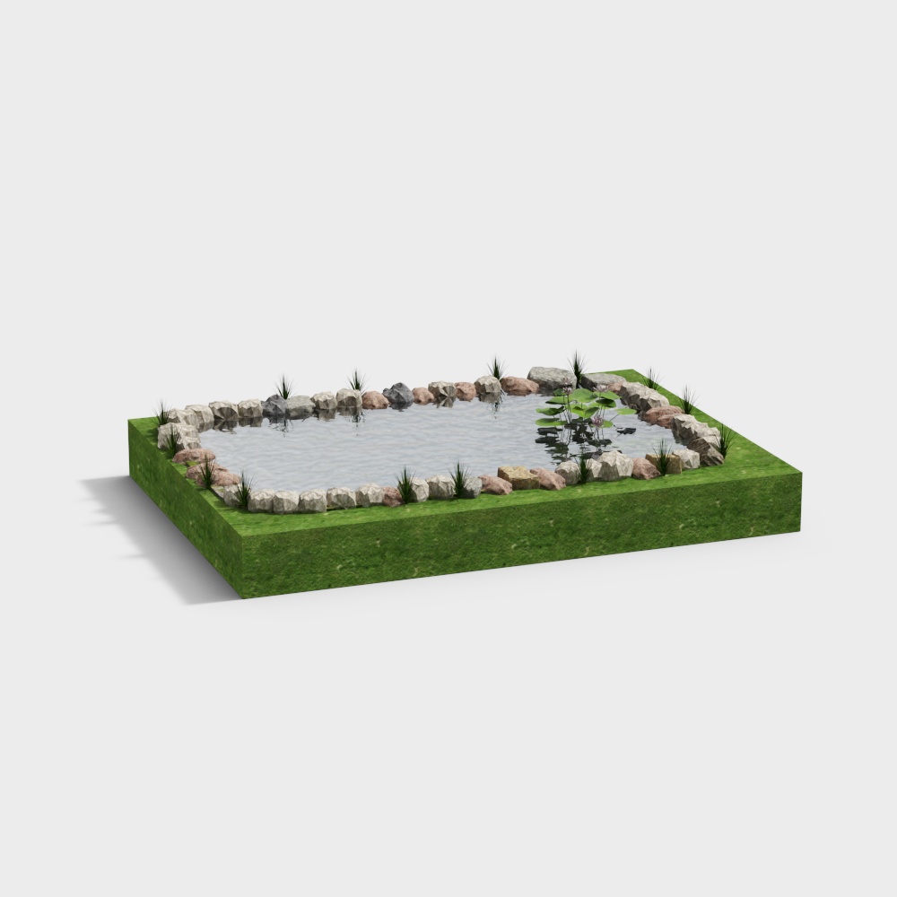 Natural Pool 3D model for Designers and Developers