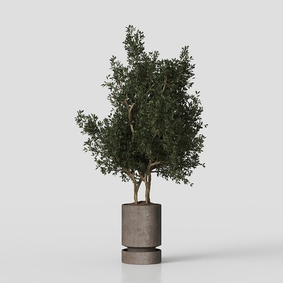 Urban Oasis 3D model for Creative Projects