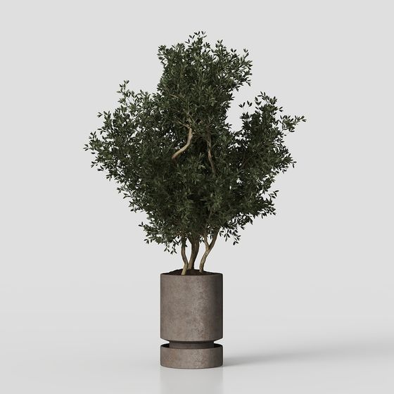 Plantes vertes sur balcons minimalistes