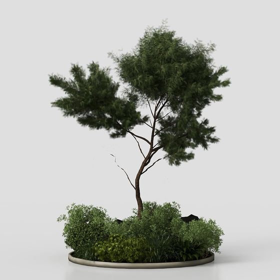 Cây xanh sân vườn sang trọng