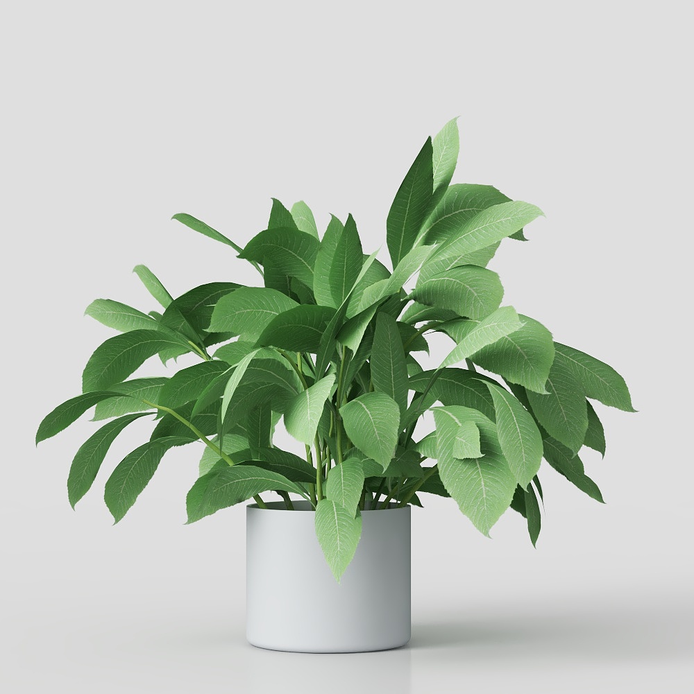 Plantas en macetas para vegetación de balcón moderna