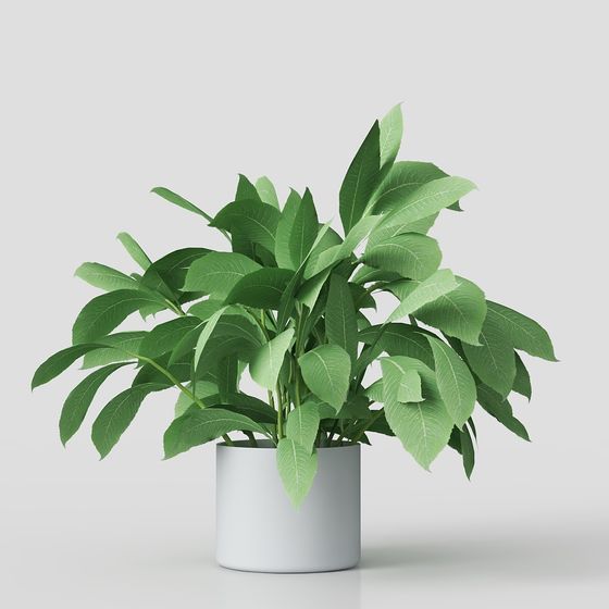 Plantas en macetas para vegetación de balcón moderna