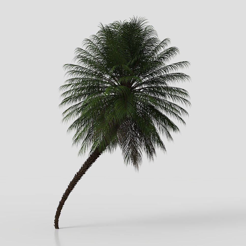 Low Polygon Palm Tree 3D model