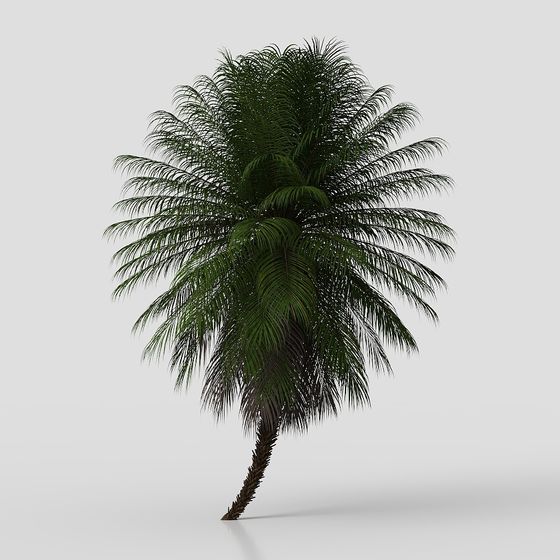 Realistic Low-Poly Palm Tree 3D model