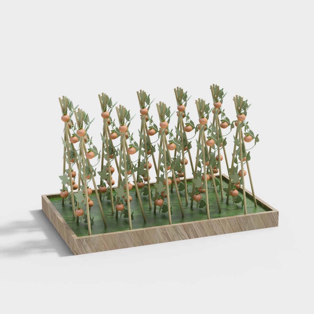 สวนปลูกสมัยใหม่