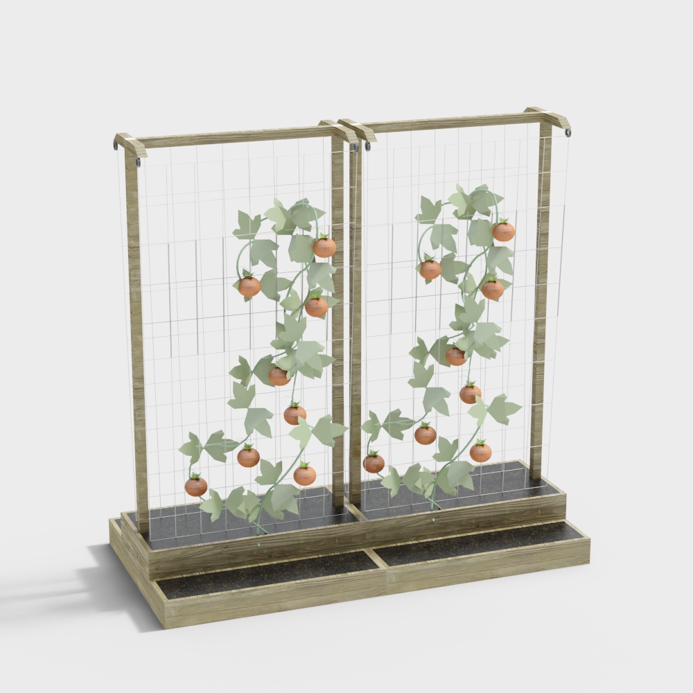 Modern plantation crops