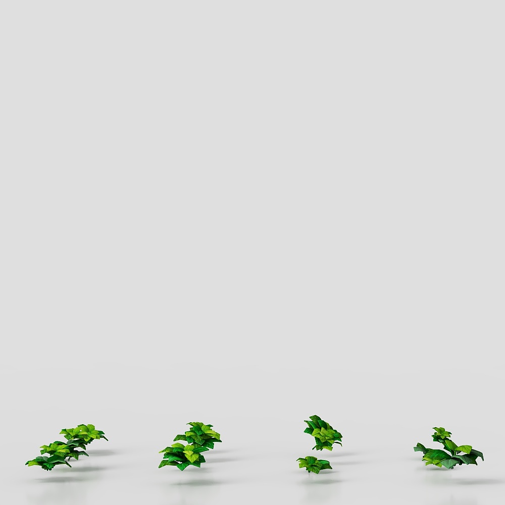 Khu vườn rau hiện đại