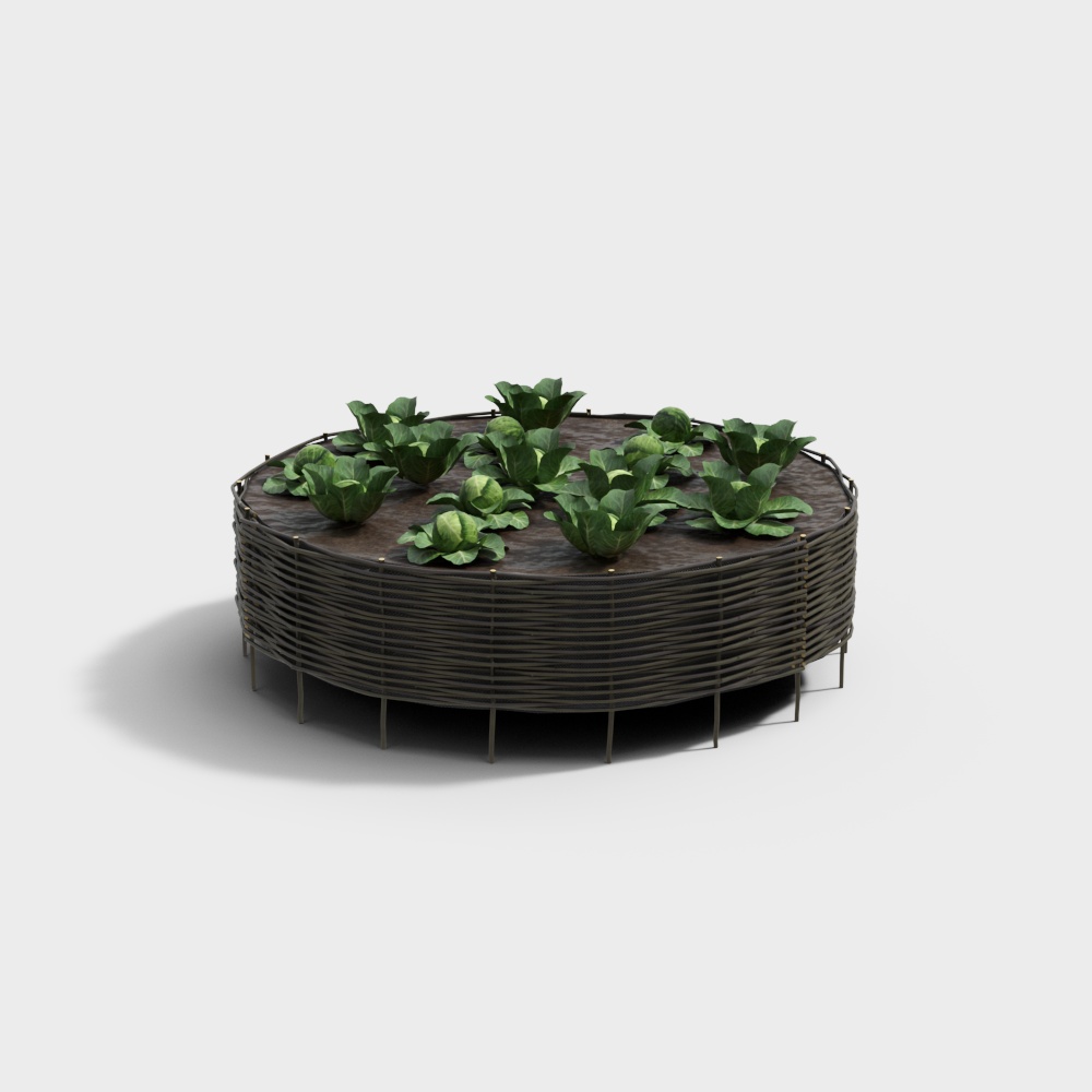 Modern courtyard garden plantation