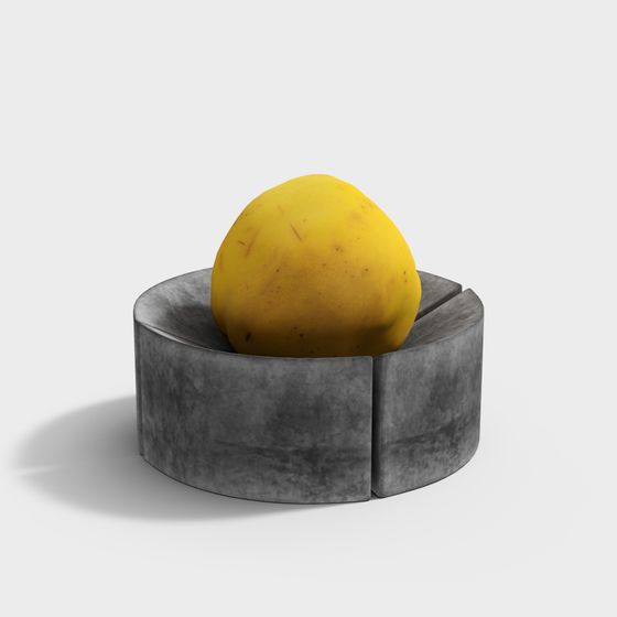 Lemon and Metal Tray 3D model