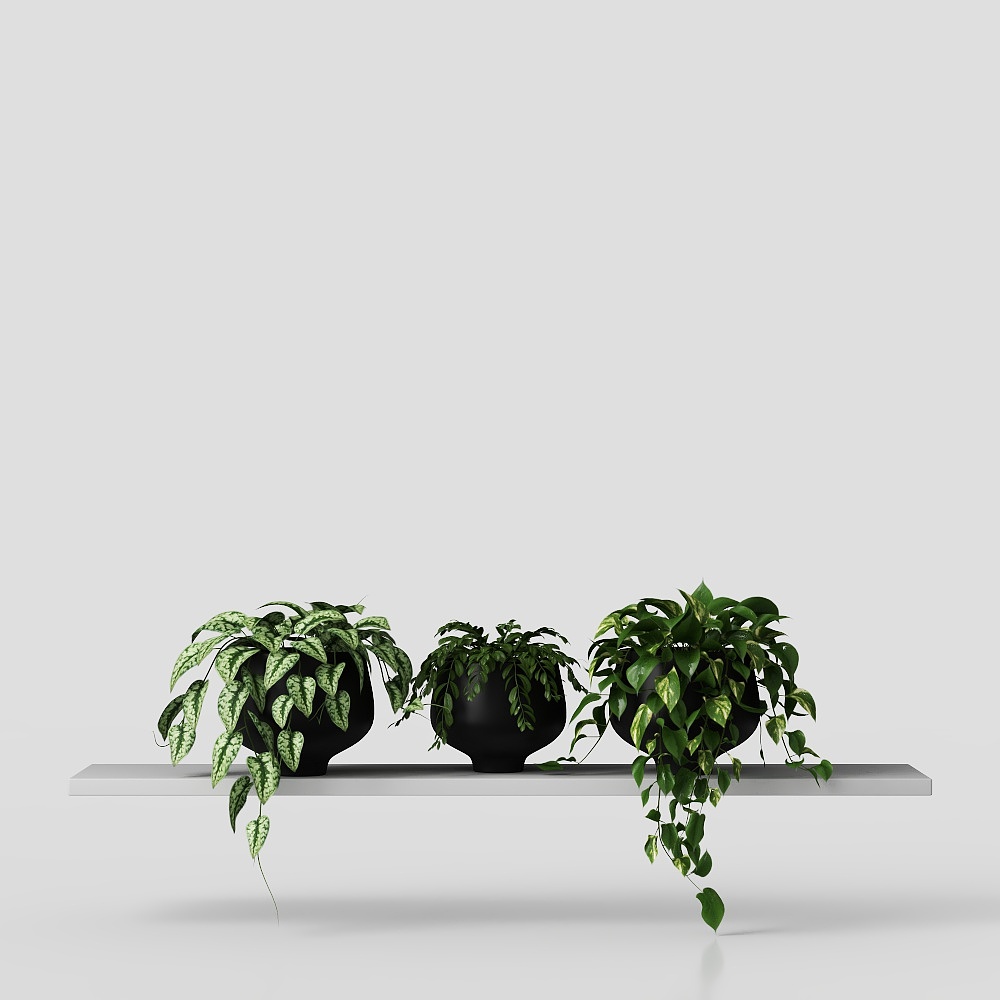 chậu treo trên kệ 01