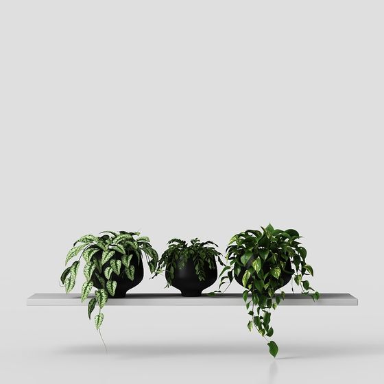 Stylish Plant Rack 3D Model with Varied Greenery