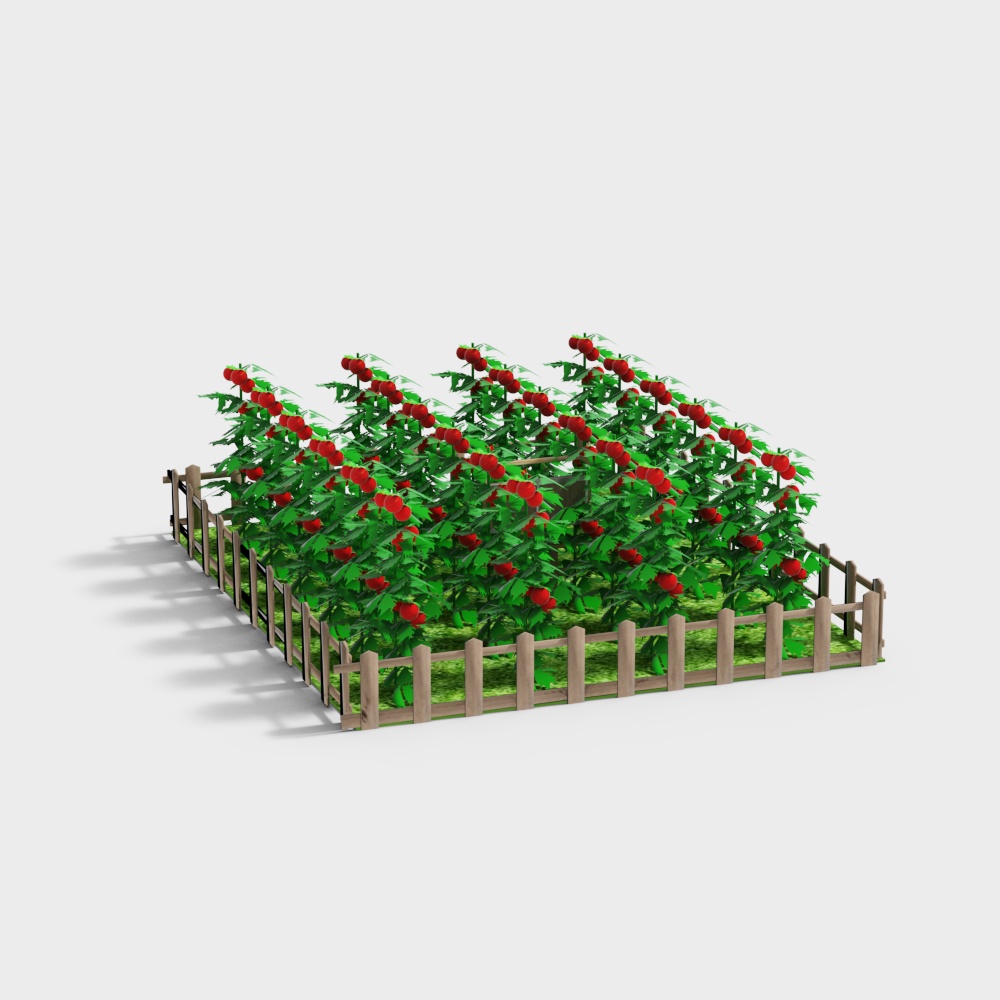 Vue du jardin de la ferme