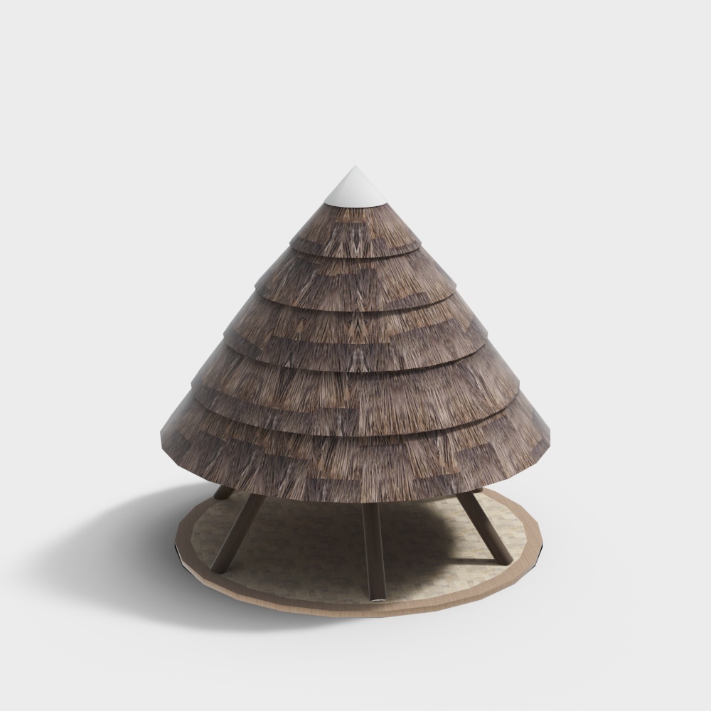 Unique Conical Wooden House 3D model