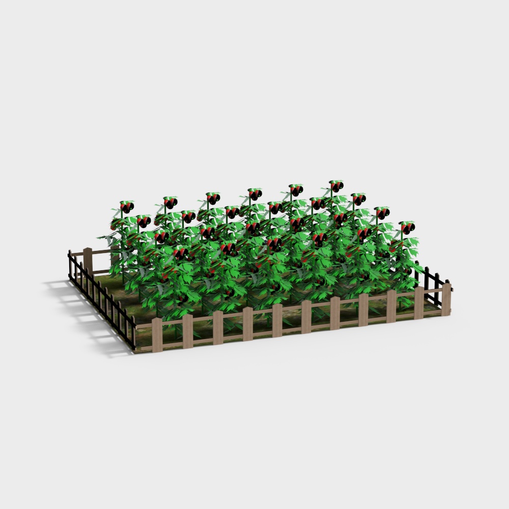 Vista de huerta rural