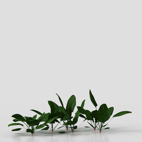 Tropical Green Plant 3D model for Creative Projects
