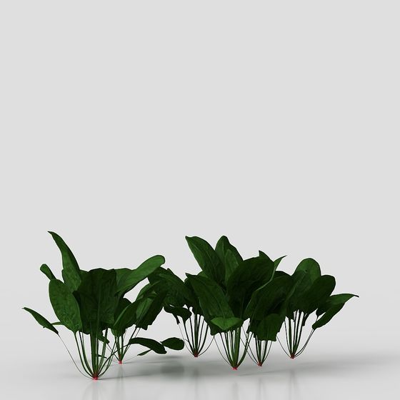 Lush Greenery Plant Cluster 3D model