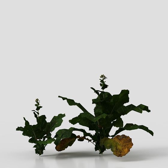 Low Poly Wild Vegetation 3D model for Creative Projects