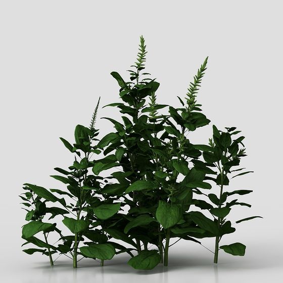 Natural Wild Grass 3D Model for Creative Projects