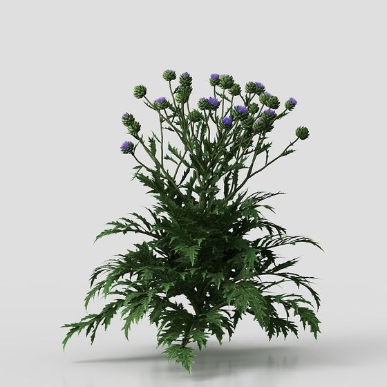 Vibrant Thistle 3D Model for Creative Projects