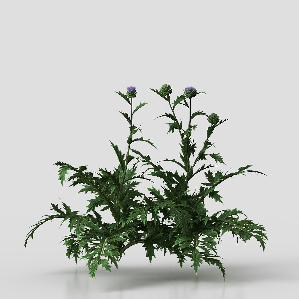 Crop and vegetable seedling