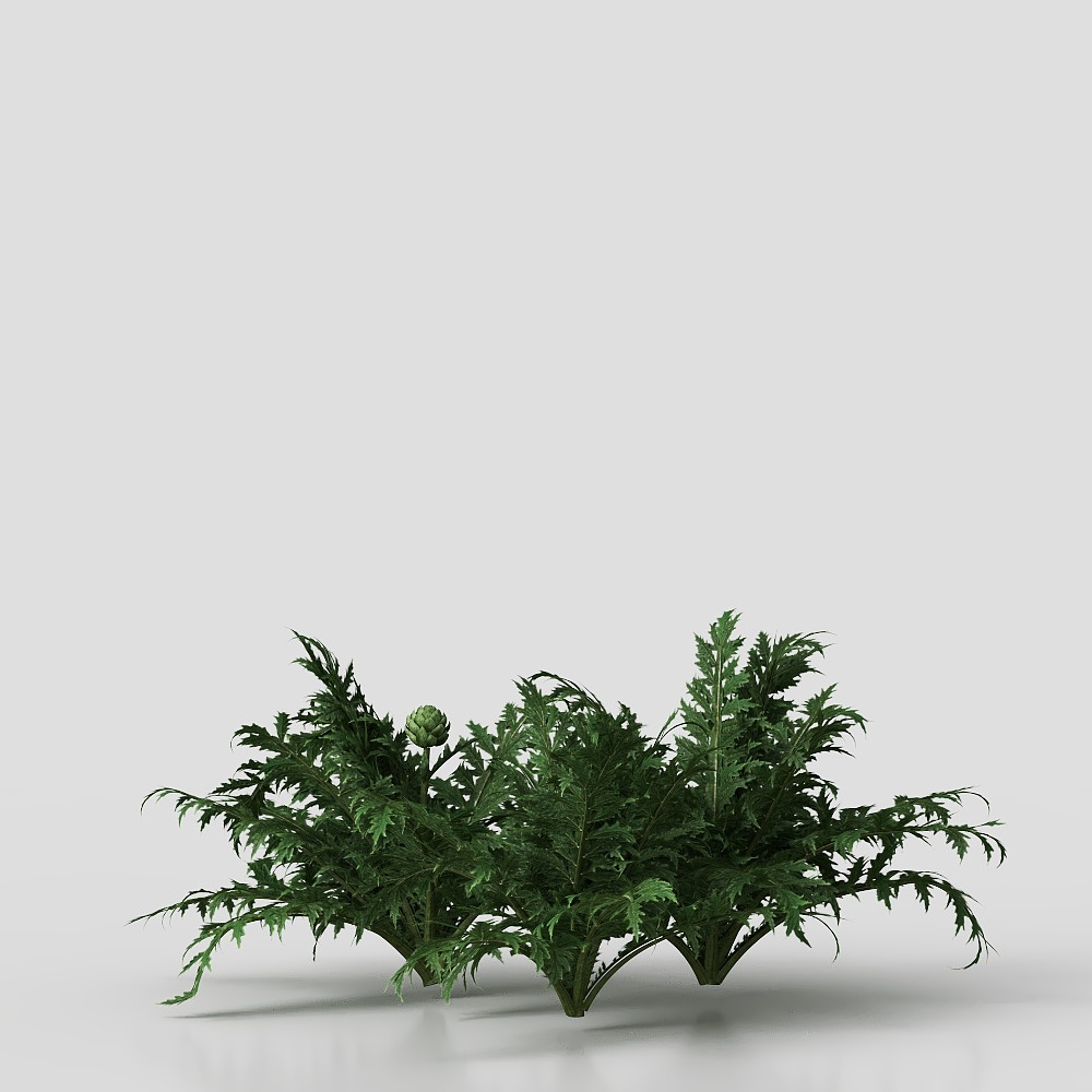 작물과 채소 묘목