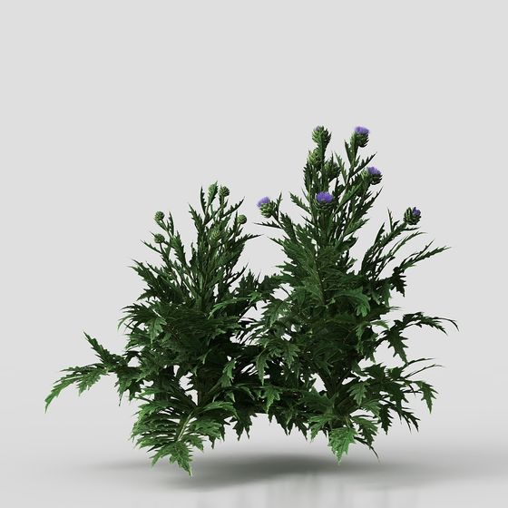 Captivating Thistle 3D model for Natural Settings