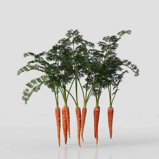 Carrot Patch 3D model for Creative Projects