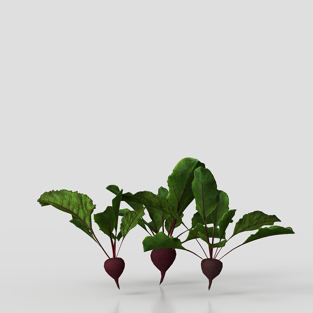 Realistic Low-Poly Beetroot 3D Model