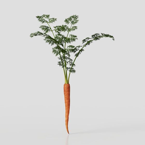 Realistic Carrot 3D Model for Creative Projects