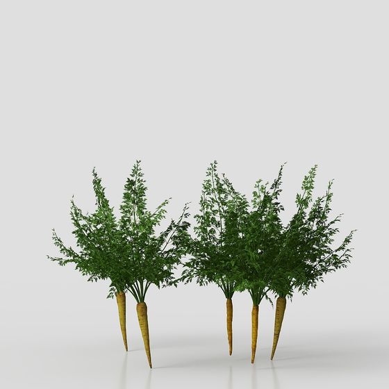 キャロットトップの野菜畑