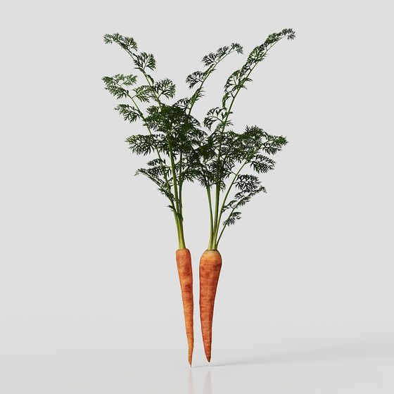 Realistic Carrot 3D Model for Various Projects