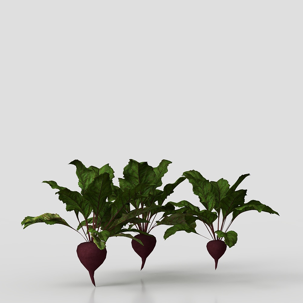 Vibrant Beetroot 3D Model for Creative Projects