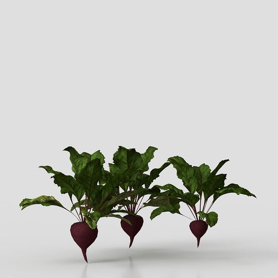 Vibrant Beetroot 3D Model for Creative Projects