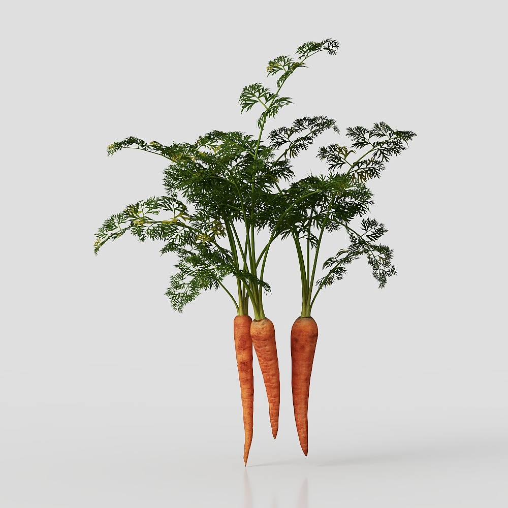 Countryside Light 3D model