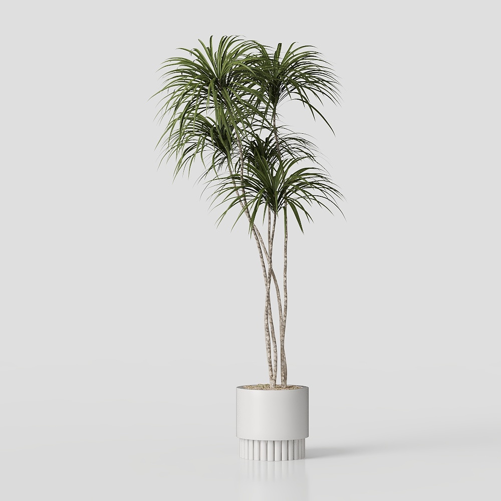 Зеленое растение