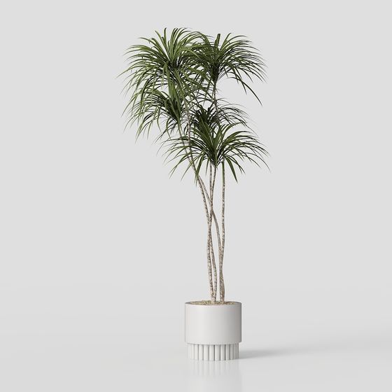 Green Plant