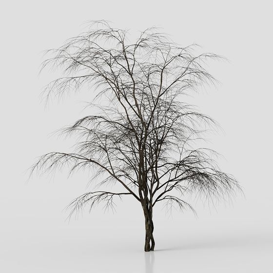 Lonely Winter Tree 3D model
