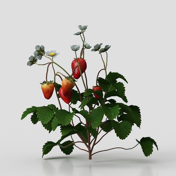 Realistic Strawberry Tree 3D Model